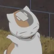 noaの画像