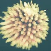 まさの画像