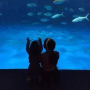 未来Mikiの画像