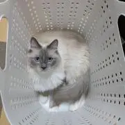 uuu!