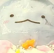 marimoの画像