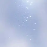 サリーの画像