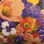 Gräfinの画像