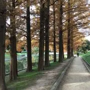 やっさん