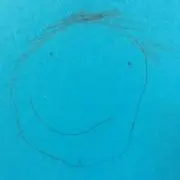 ぽにゃ