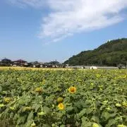 あやっぺ