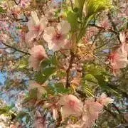 なあの画像