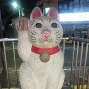mintamaの画像