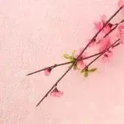 つぶちゃんの画像