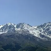 HAMAZOの画像