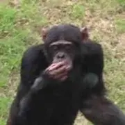 レオナルド