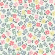 mi.sollaの画像