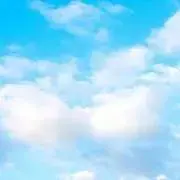 咲の画像