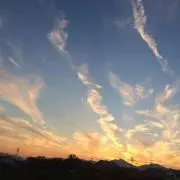 ぱーる