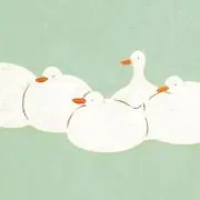 さかなの画像