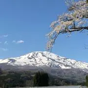くりりんの画像