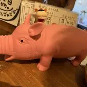 Rの画像