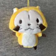 nikoの画像