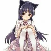 よっぴー