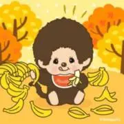 モンチッチの画像