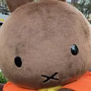 ぼすんの画像