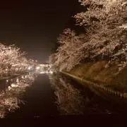 るなの画像