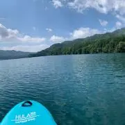 紗綾