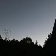おれんじの画像