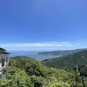 scuraの画像