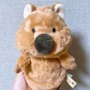 あまねの画像