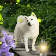 かっくんの画像