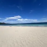 かな