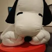 さなの画像