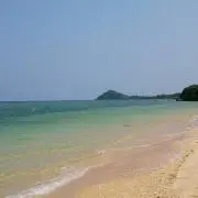 こっちゃんの画像