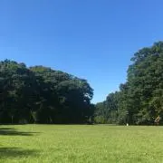AN
