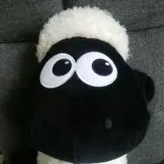 タタちゃんの画像