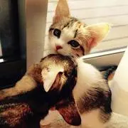 なおちゃん