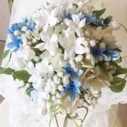ジャスミンの画像
