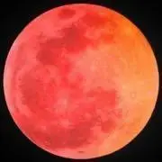 oldmoonpeachの画像