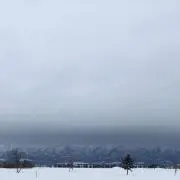 にゃーーーの画像