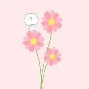 みかん