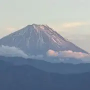 cocoの画像