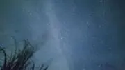 ねこらんちゃー
