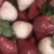 ☆。の画像