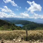 かかの画像