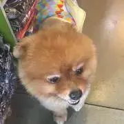 ソルの画像
