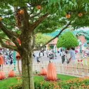 ポポ☆
