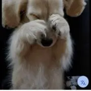 みかんの画像