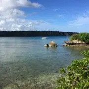 kakaの画像