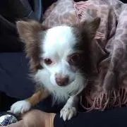 まえどぅ